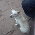 Sergio Lepe - @sergio.lepe.5682 - Instagram