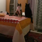 Sergio Limonta - @seo.limonta - Instagram
