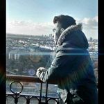 SERGIO_LOYAL - @sergio_loyal - Instagram