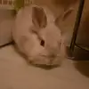 sergioluquee - @sergioluquee - TikTok
