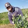 Sergio Machain - @sergio.machain4 - TikTok