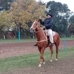 Sergio Machuca - @sergio.machuca.7 - Instagram