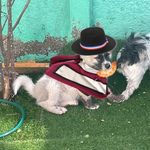 Sergio Machuca Trujillo - @chamoongus - Instagram