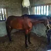 Sergio Main - @sergiomain - TikTok