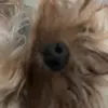 А - @sergio_majors - TikTok