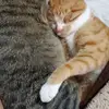 Sergio Mañon - @sergio.maon - TikTok