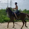 Sérgio May - @sergio_st9 - TikTok