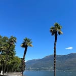 Sergiu Mihalcean - @sergiomaykal - Instagram