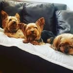 Sergio Mella - @sergiomellar - Instagram