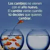 Sergio Mendiola - @sergiomendiola25 - TikTok