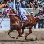 Sergio Meraz Jr. - @sergio_meraz_qzd - Instagram