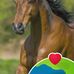 Sergio Mojica - Facebook