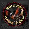 sergiomontero375 - @sergiomontero375 - TikTok