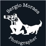Sergio Moraes - @sergio.moraes62 - Instagram