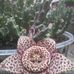 Sergio Narvaez - Facebook