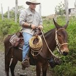 Sergio Ocampo-Tobón - @sergioocampotobon - Instagram