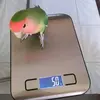 sergio pagan - @sergio.pagan7 - TikTok