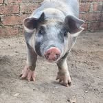 Sergio Olvera Patlan - @sergio_olvera_patlan - Instagram