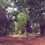 Sergio Patrick - @sergpatrick - Instagram