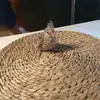 sergioperdigon07 - @sergioperdigon07 - TikTok