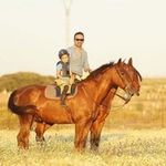 Sergio Perera Diaz - @sergiopereradiaz - Instagram