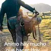 Sergio Piña - @sergio.pia25 - TikTok