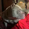 Sergio Pina - @sergio.pina64 - TikTok
