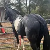 Sergio Piña - @sergio.pia76 - TikTok