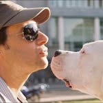 Sergio Pino - @pinomatsu - Instagram