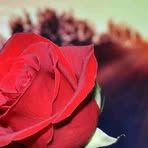 Sergio Pollard - Facebook