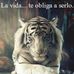 Sergio Poma - Facebook