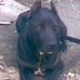 Sergio Porter - Facebook