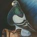 Sergio Portillo - Facebook