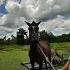 Sergio Quintana - @sergioquintana05 - TikTok