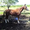 Sergio Quiroga - @sergio.quiroga83 - TikTok
