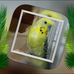 Sergio Rabago - Facebook