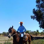 Sergio Rabelo - @srabe.loquintanilla - Instagram