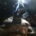 Sergio Raya - Facebook