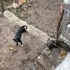 Sergio Raya Sergio Rayatiktok. - @sergio.raya.sergi - TikTok