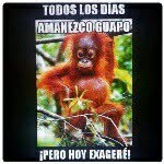 @sergio_rayas_is_gay - Instagram