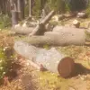 Sergio Rendón693 - @ch0c88 - TikTok
