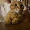 sergioreynaga71 - @sergioreynaga71 - TikTok