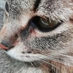 boh - @sergio_rizzo_ - Instagram