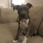 Sergio Robinson - @sergio.robinson.5473 - Instagram