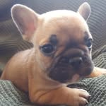 Rocco Sergio Rogers - @roccorogers1 - Instagram