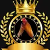 Sergio Rojo - @sergio.rojo15 - TikTok