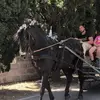 Sergio Romano198 - @sergioromano198 - TikTok