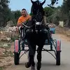 Sergio Romano - @sergio.romano13 - TikTok