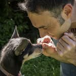 Sergio Ruffolo - @sergioruffolo.serdog - Instagram