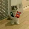 SERGIO_RYAN - @sergio_ryan - TikTok
